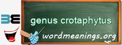 WordMeaning blackboard for genus crotaphytus